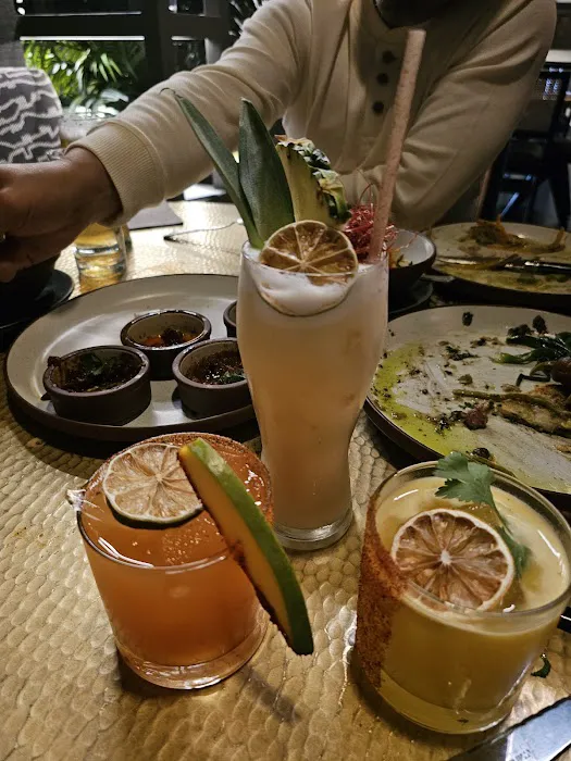 IXTA Cocina Mexicana + Mezcal Bar Picture 6