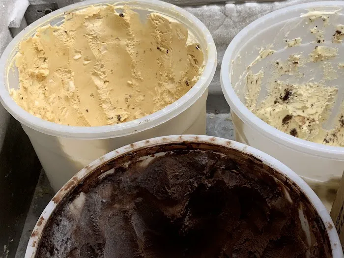 Van Leeuwen Ice Cream Picture 8