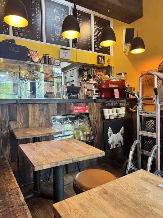 The Lazy Llama Coffee Bar Picture 4
