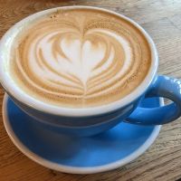 The Lazy Llama Coffee Bar ico