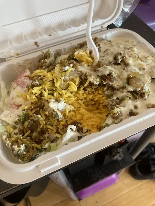 Halal Cart Picture 3