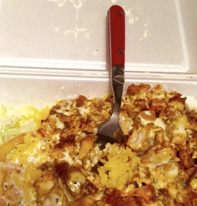 Halal Cart Picture 10