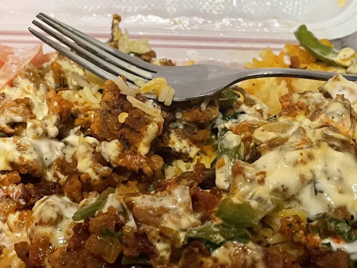 Halal Cart Picture 2