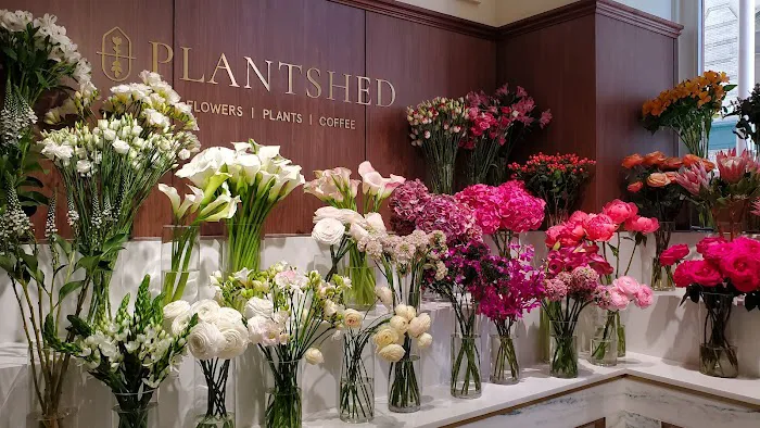 PlantShed at Kith Women Picture 2