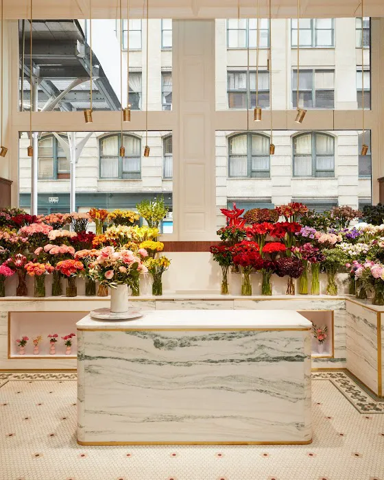 PlantShed at Kith Women Picture 7