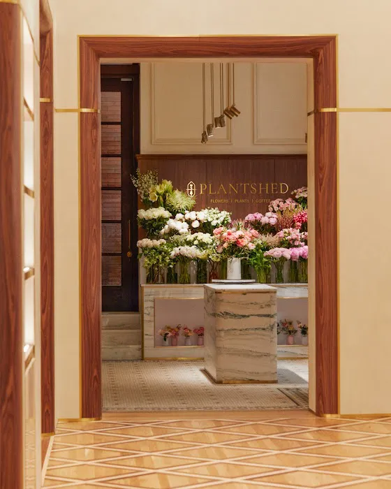 PlantShed at Kith Women Picture 9