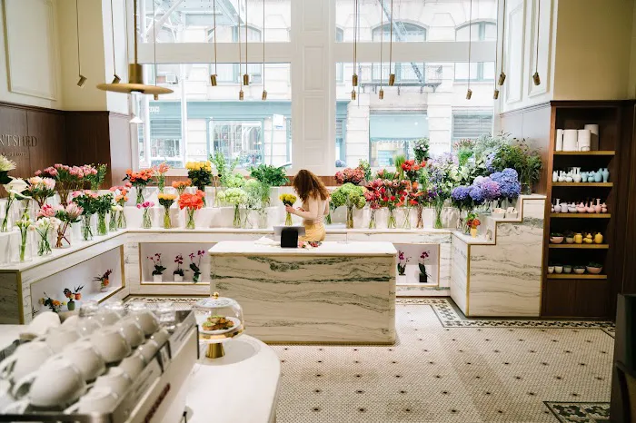 PlantShed at Kith Women Picture 5