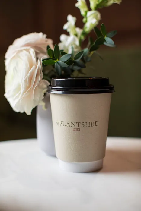 PlantShed at Kith Women Picture 6