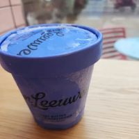 Van Leeuwen Ice Cream ico