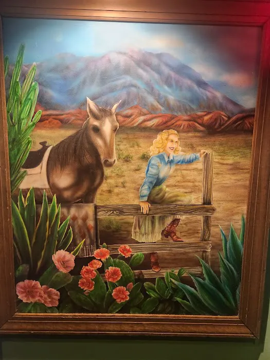 Cowgirl Picture 7