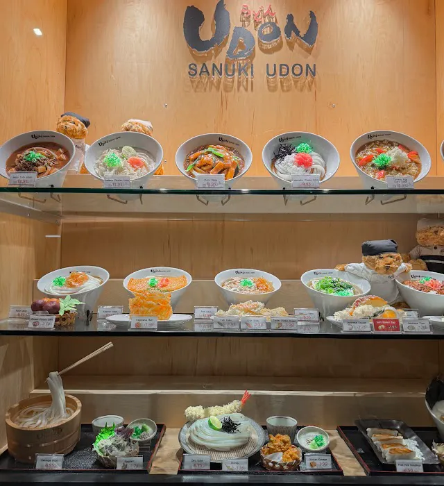 Sanuki Udon Picture 5