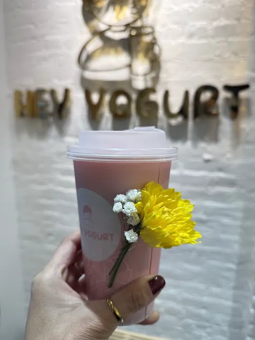 Hey Yogurt Picture 7