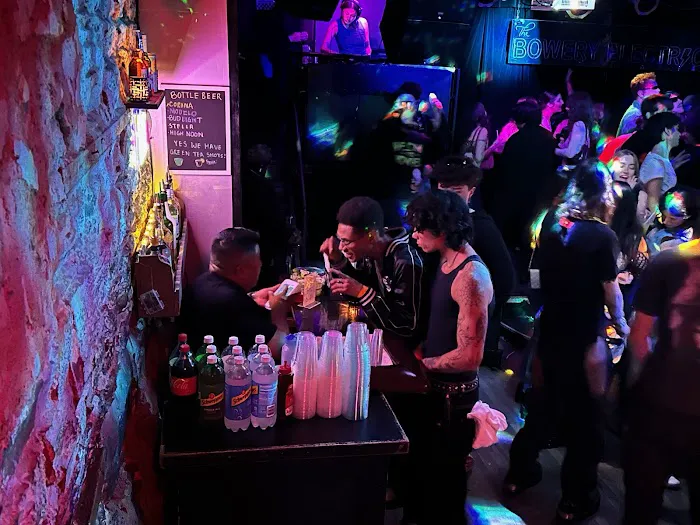 The Bowery Electric Picture 6