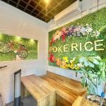 Poke Rice