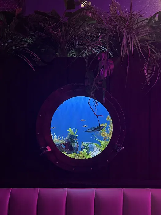 Commodore II Picture 9