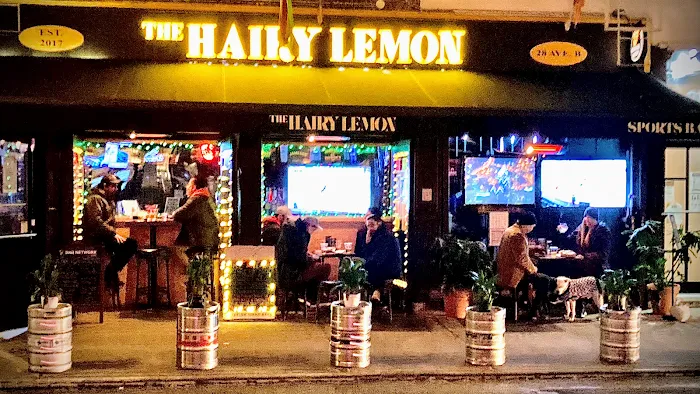 The Hairy Lemon Picture 5