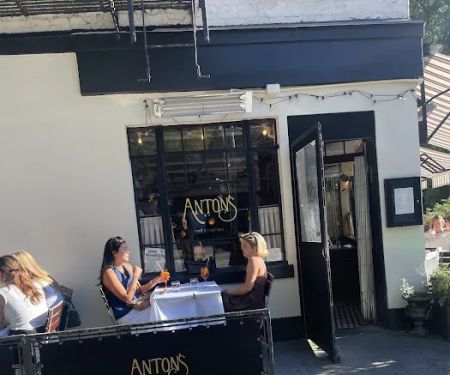 Anton's