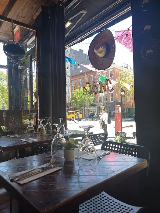 Móle Mexican Bar & Grill - West Village Picture 3
