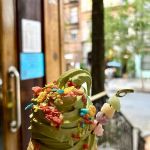 Tokyo Taiyaki