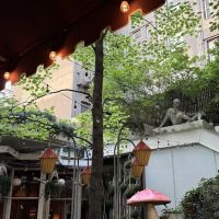 The Garden at The Standard ico