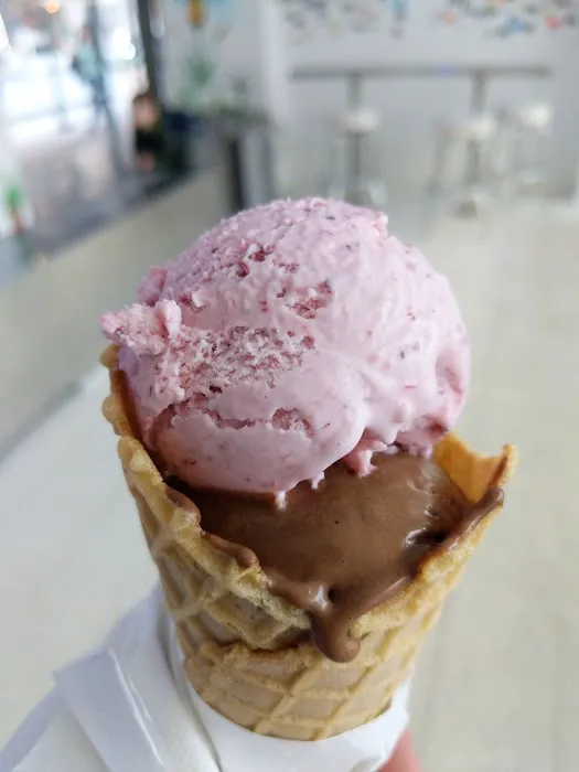 il laboratorio del gelato Picture 1