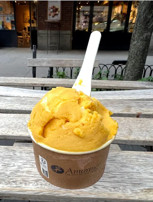 Amorino Gelato - New York Greenwich Village Picture 2