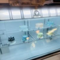 Sundaes and Cones ico