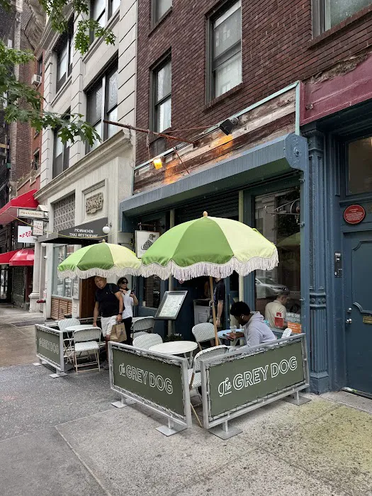 The Grey Dog - Union Square Picture 2