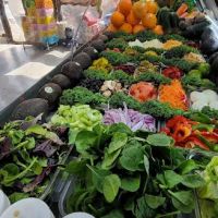 Your Desire in Food ico