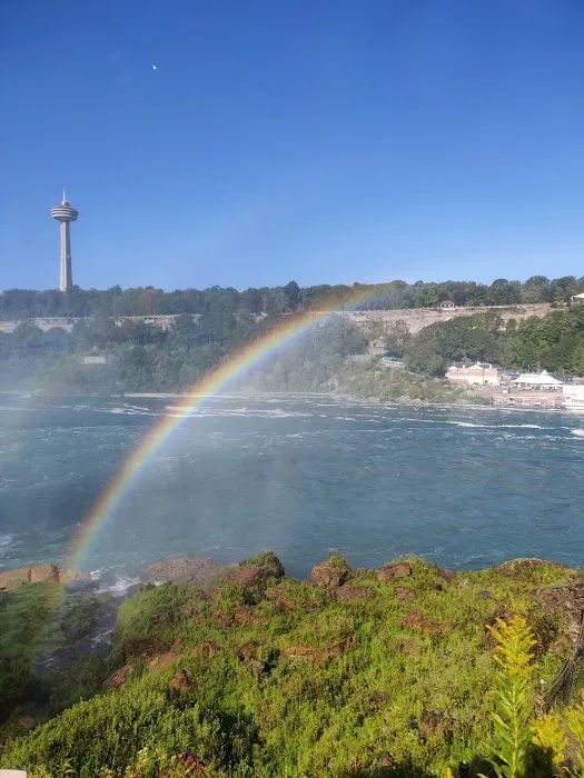 Niagara Picture 4