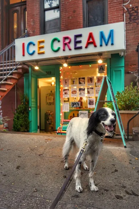 Davey's Ice Cream Picture 3