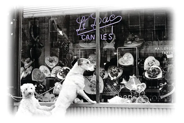 Li-Lac Chocolates Picture 9