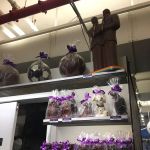 Li-Lac Chocolates