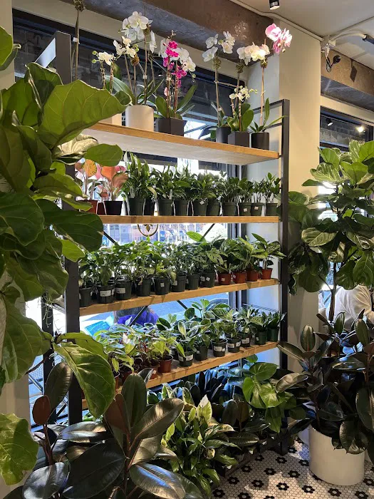 PlantShed Picture 4