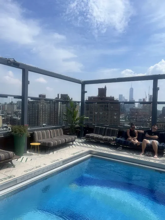 Gansevoort Rooftop Picture 5