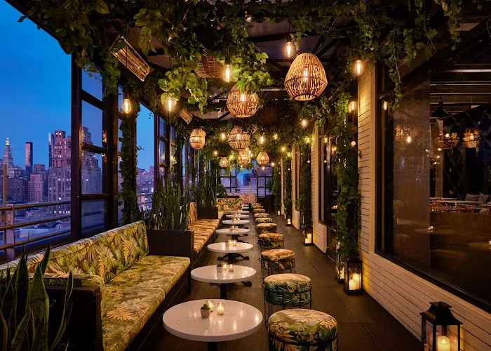 Gansevoort Rooftop Picture 4