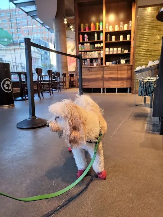 Starbucks Picture 9