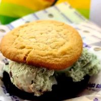 Insomnia Cookies ico