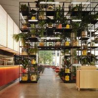 Frenchette Bakery at the Whitney ico