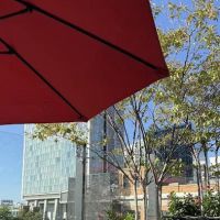 STK Steakhouse Downtown NYC ico