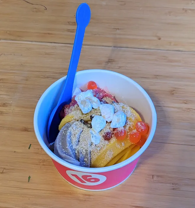 16 Handles Picture 2