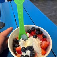16 Handles ico