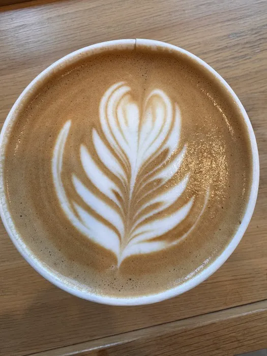 Blue Bottle Coffee Picture 5
