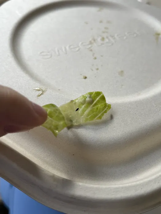 sweetgreen Picture 1