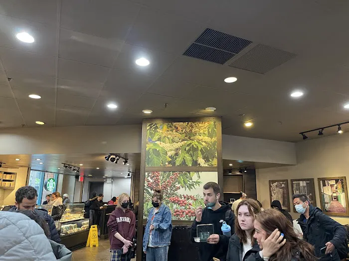 Starbucks Picture 3