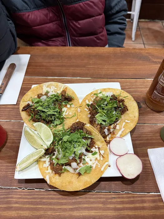 Tacos Cuautla Morelos Picture 5