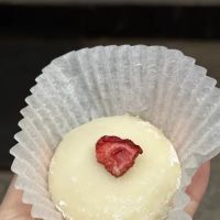 MATCHA HOUSE ico