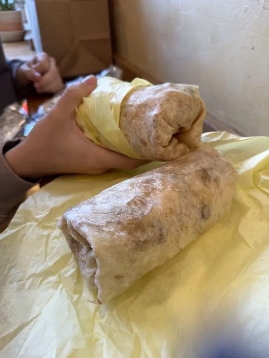 Electric Burrito Picture 4