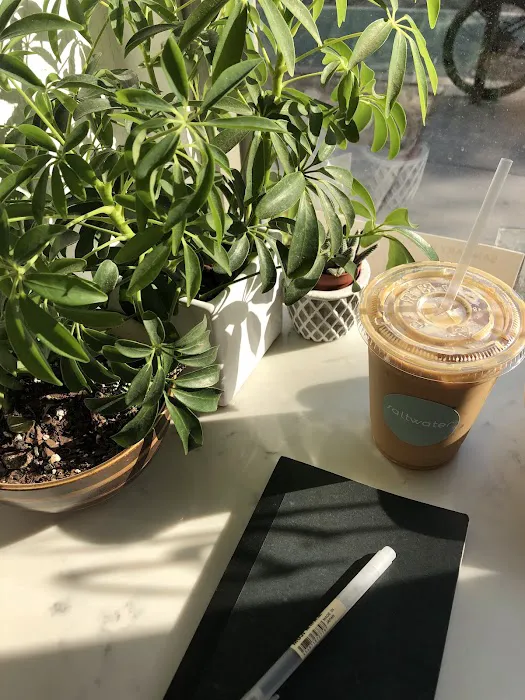 Saltwater Coffee Picture 5
