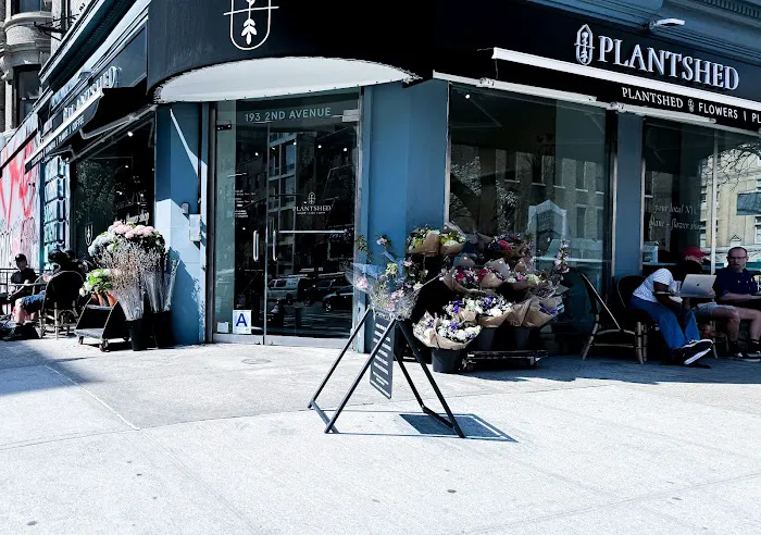PlantShed Cafe Picture 2